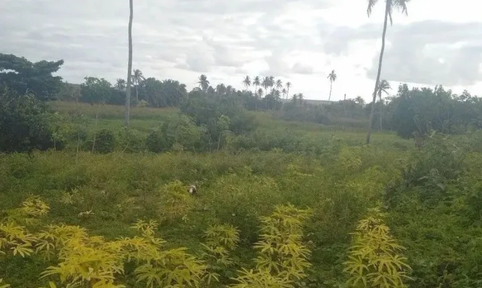 Sítio em Alhandra