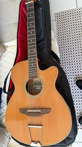 Violão strinberg profissional