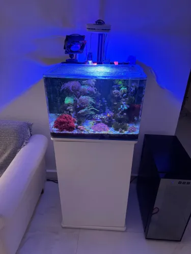 Aquário marinho completo