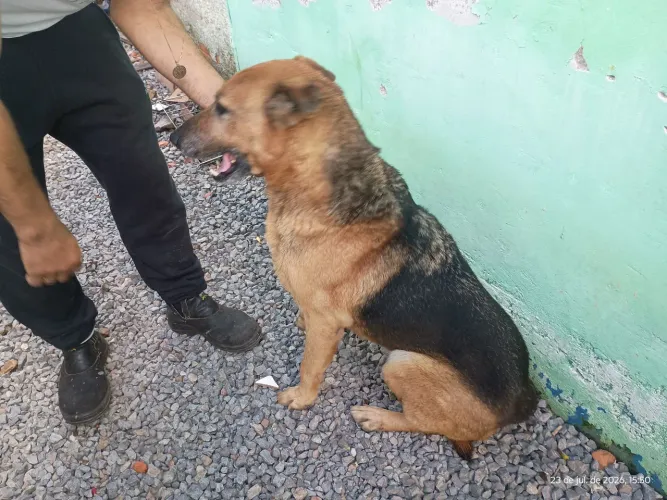 DOA SE PASTOR ALEMAO, motivo mudança