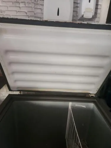 Freezer Consul 309L