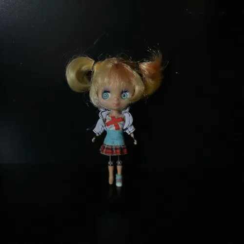 Blythe Littlest pet shop