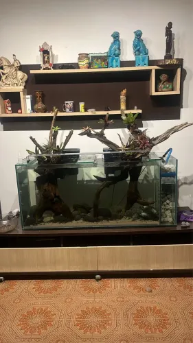 AQUÁRIO 130x42x50cm SUMP LATERAL