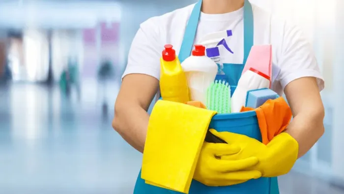 Faxineira com experiência e profissional 