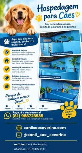 Hospedagem para cães