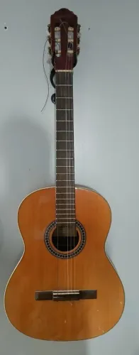 Violão Giannini