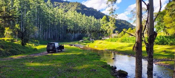 Fazenda com 250 hectares, Laranjeiras, Distrito de Passo Manso, Taió, S.C.