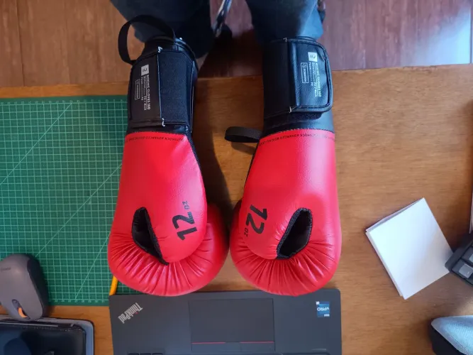 Luvas de Boxe/Muaythai