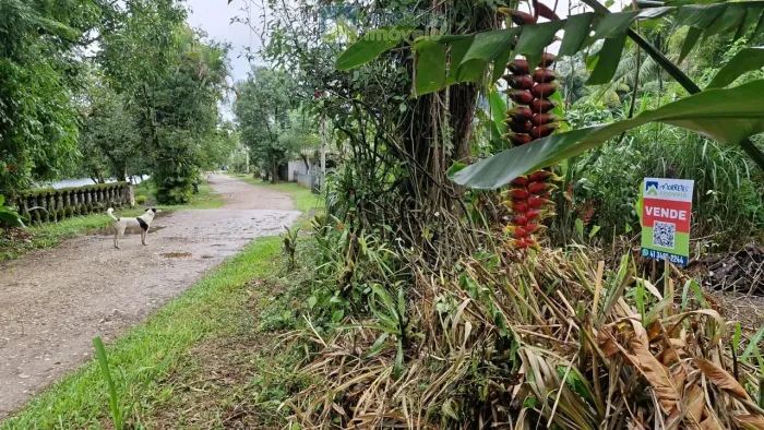 Terreno/Lote pronto para construir, área urbana 500m² no Porto de Cima, em frente ao rio N