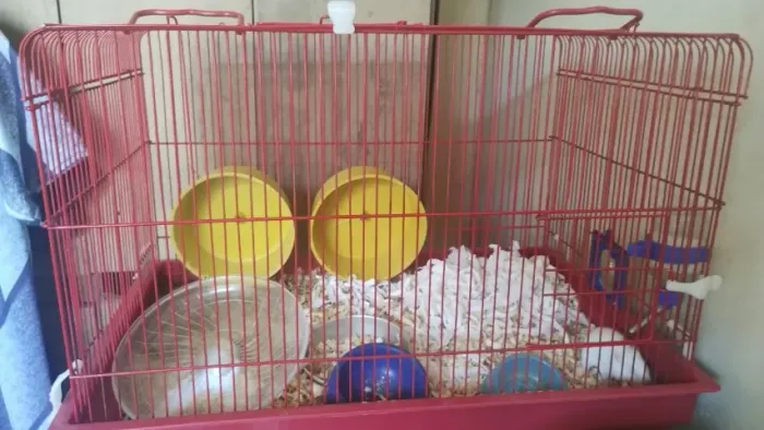 Gaiola grande de roedores(hamsters,gerbil,rato