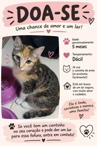 Doação
