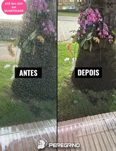 Fdx - removedor de manchas d?água em vidros