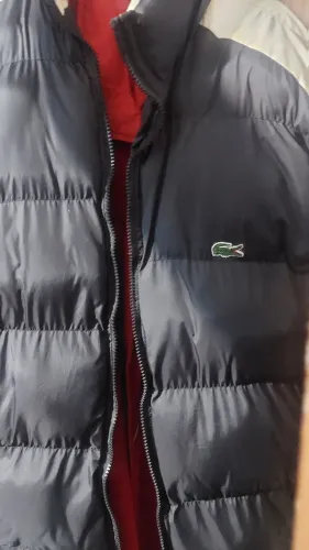 Bobo Jaco Lacoste 