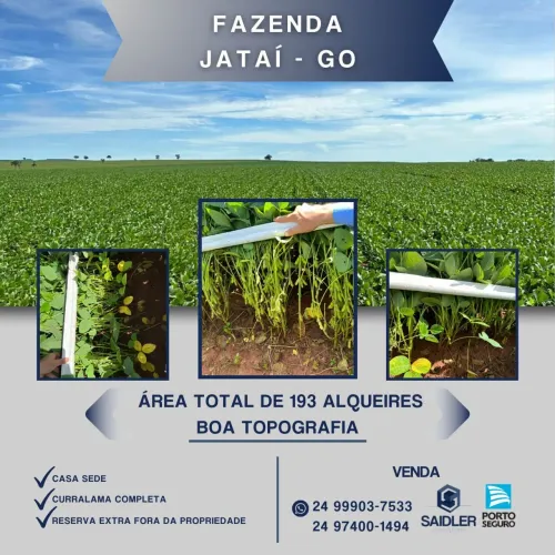 Fazenda em Jataí GO, 943,12 hectares