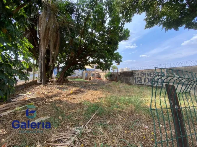 Terreno para alugar, 300m² - Jardim São Luiz