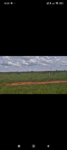 Fazenda arrendamento 4 mil hec em nova alvorada do sul MS.