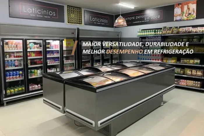 ilha de congelados * vidro curvo 