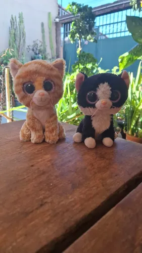Dois gatinhos fofinhos de pelúcia