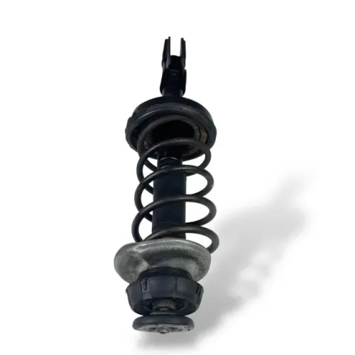 Amortecedor telescópio lado direito Renault Clio 2008 A 2012