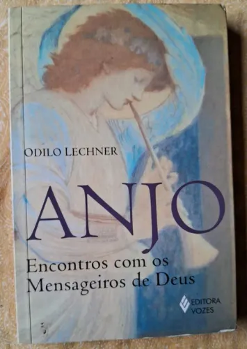 Livro Anjo, de Odilo Lechiner em bom estado