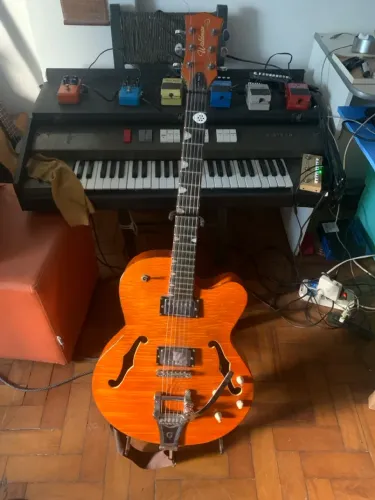 Guitarra Elétrica Semi-Acústica