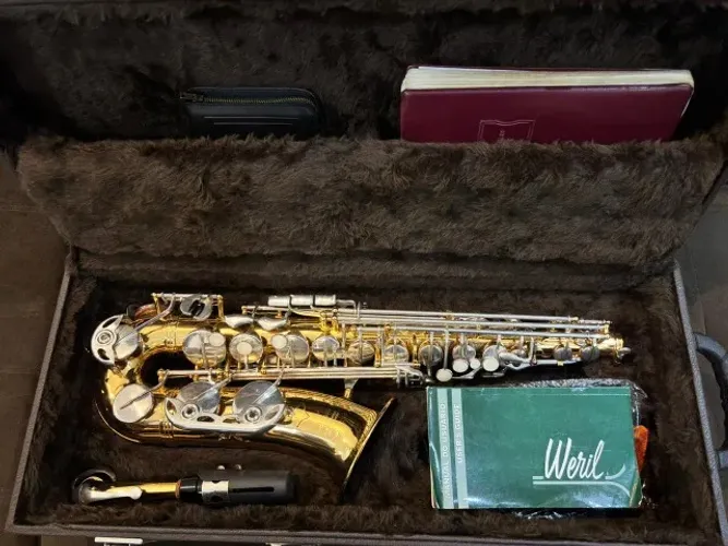 Sax-Auto Weril - Usado em Ótimas condições