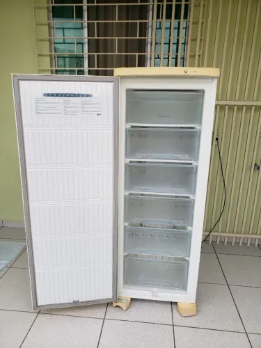 Oportunidade Freezer Electrolux FE 22 Usado 110 Volts Entrego e Aceito Cartão