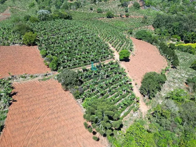 SÍTIO Á VENDA COM PLANTAÇÃO DE CAFÉ E BANANA EM PEDRALVA-MG