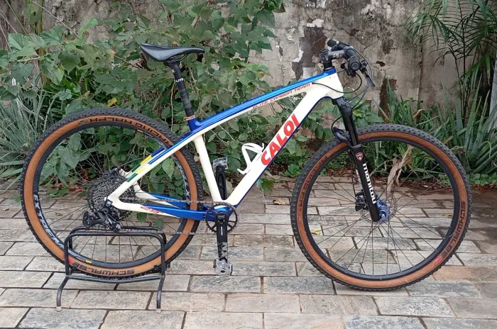 Bicicleta Caloi Elite Carbon Team NX 12v