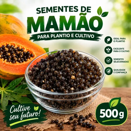 Sementes de Mamão - Para Plantio e Cultivo