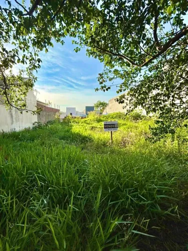 Terreno Padrão em Marialva