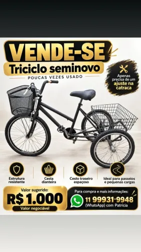 Bicicleta Triciclo