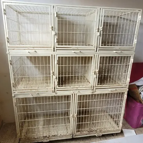 Canil para banho e tosa clínica veterinaria