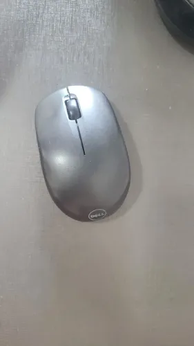 Mouse