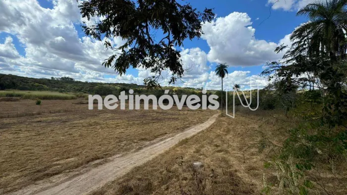 Venda Chácara Região das Américas Florestal