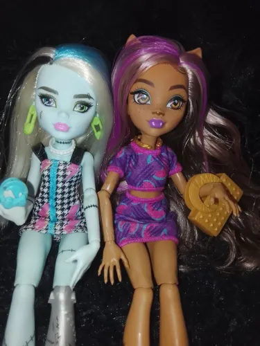 Duas bonecas monster high