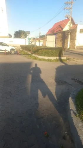 Jardineiro
