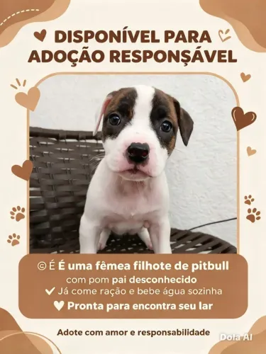 Doação