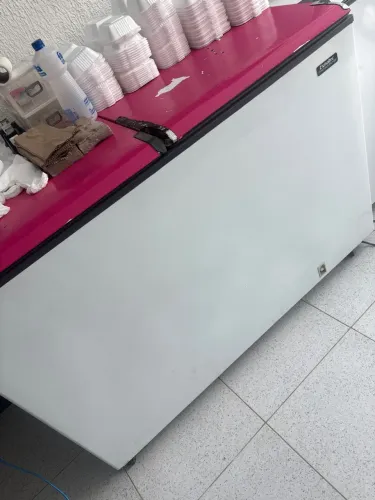 Freezer 2 Portas / Temos 2 à venda
