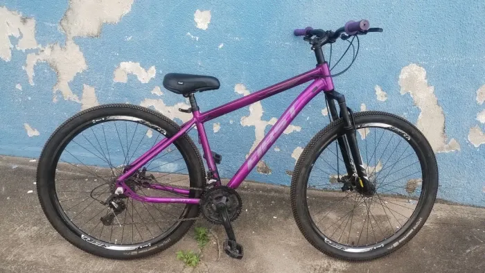 Bike quadro frist Smit aro 29