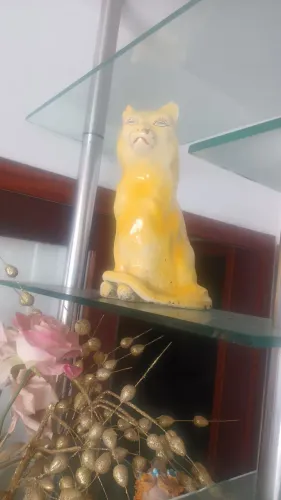 Relíquia O GATO VISÃO