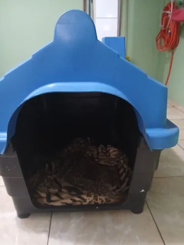 Vendo casa de cão a maior