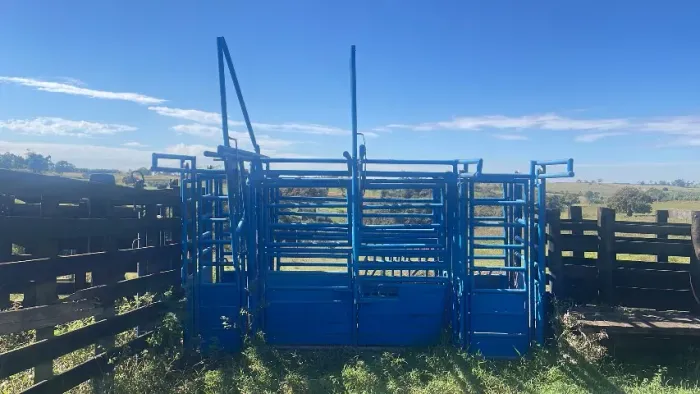 Brete contenção bovina