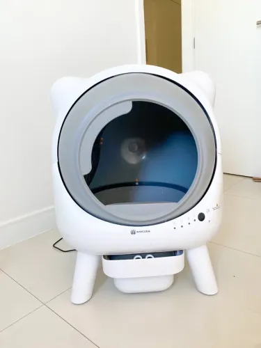 Caixa de areia automática (gatos)