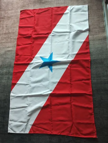Bandeira e camisa do Pará