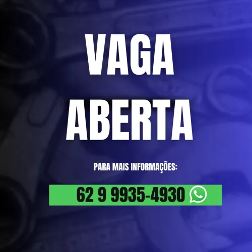 Auxiliar de Instalação Automotiva