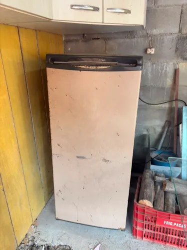 Freezer prosdocimo
