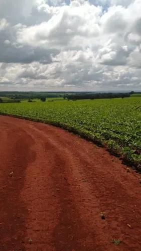 Fazenda a venda em Santa Cruz de Goiás!!!