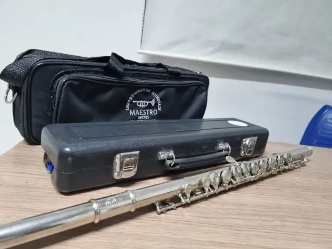 Flauta Transversal Selmer Bundy Profissional - Parcelo - Envio Todo Brasil - OLX PAY