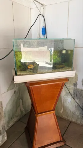 Aquário 35 litros